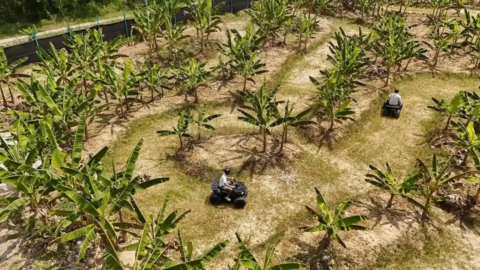 ATV ride through the orchard at Suka Camping