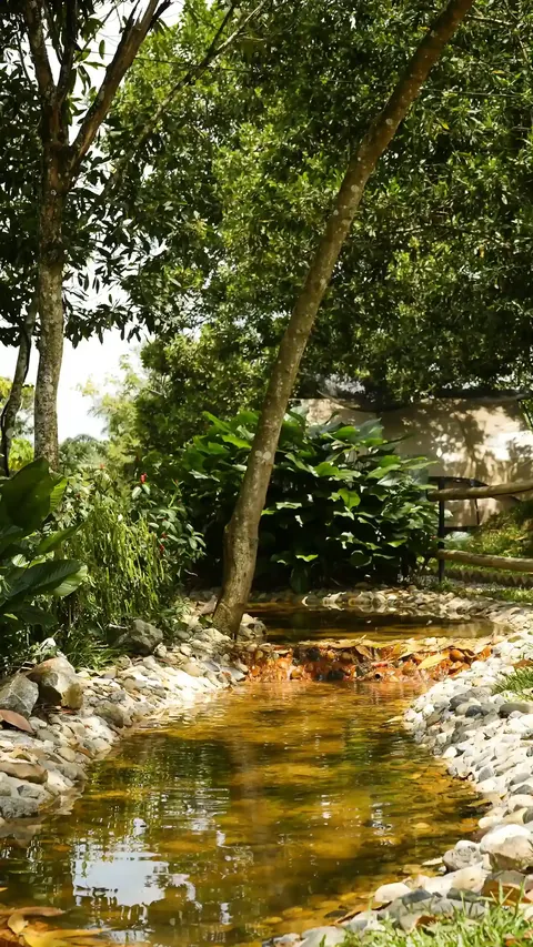 Small river stream among the trees at Suka Camping, a peaceful getaway near KL